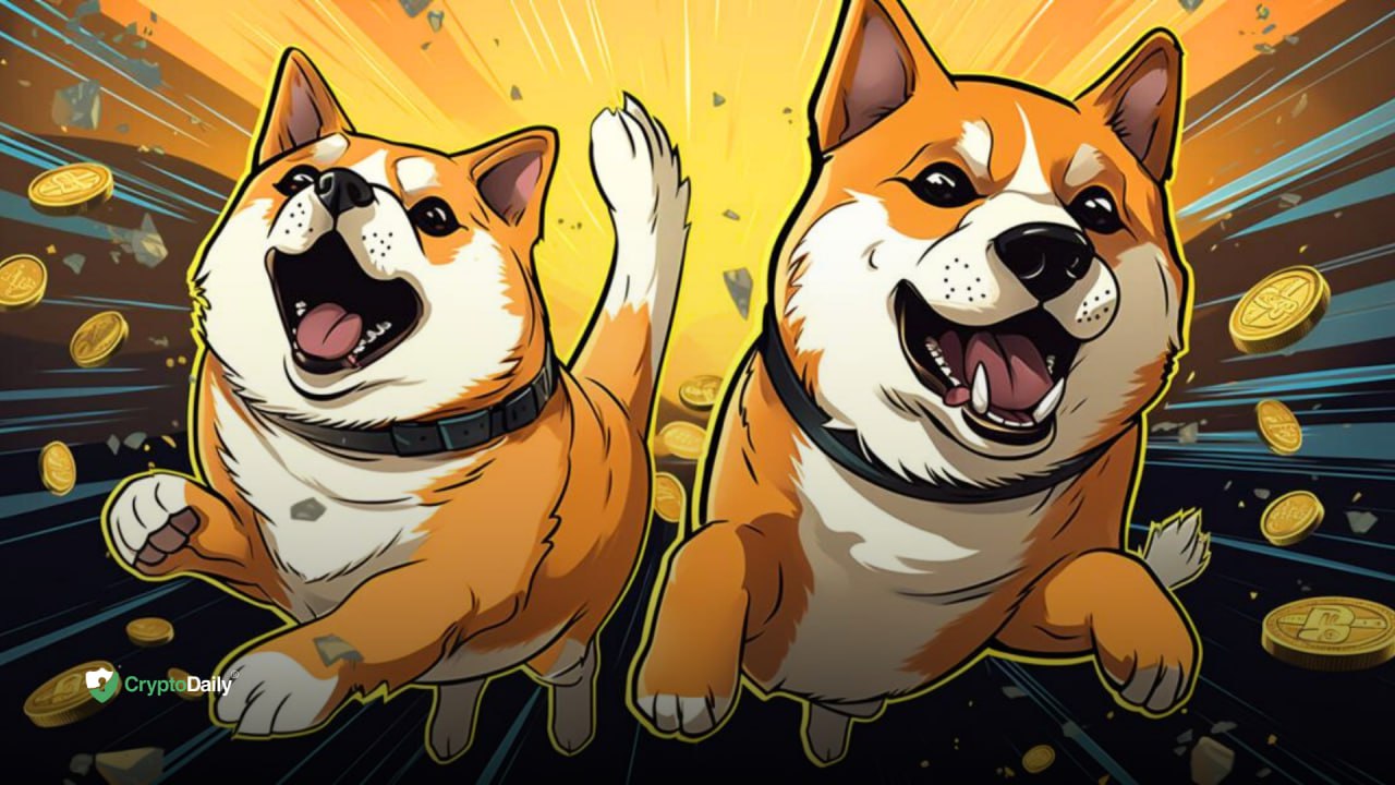 Dogecoin (DOGE) And Shiba Inu (SHIB) Bulls Run Wild: Massive Gains ...